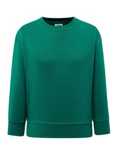 Dziecięca bluza SWRK 290 zielona z rysunkiem