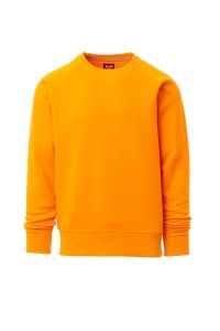 Pomarańczowa bluza crewneck męska PAYPER MISTRAL+ - nadruk