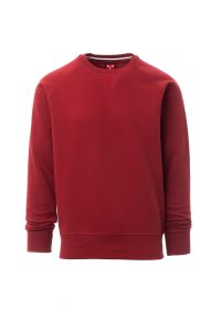 Bordowa bluza crewneck męska PAYPER MISTRAL+ - własny wzór