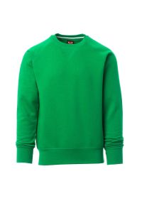 Jasnozielona bluza crewneck męska PAYPER MISTRAL+ - robocza
