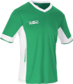 Koszulka-sportowa-Tottenham ZIELONA 02.jpg