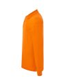 PORA 210 LS OR 3.jpg