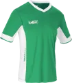 Koszulka Sportowa- Keeza Tottenham green.png