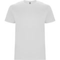stafford biala przod.jpg