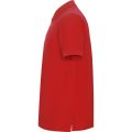 pegaso czerwona bok.jpg