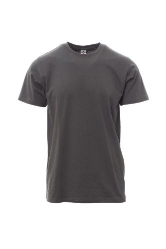 Szary-T-Shirt-Męski-Payper-Print-Przód.jpg