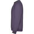 CLASICA 1070 LILIOWY BOK.jpg