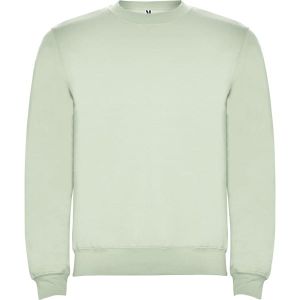Zielona mgła CLASICA 1070 - bluzy męskie z nadrukiem