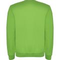 CLASICA 1070 PISTACJOWA TYŁ.jpg