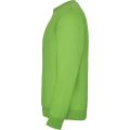 CLASICA 1070 PISTACJOWA BOK.jpg