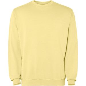Vanilla JAYA 2203, Luźna, Męska - Bluza z Nadrukiem