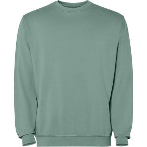 Duck green JAYA 2203 - męska bluza z nadrukiem