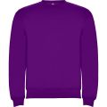 CLASICA 1070 PURPUROWY PRZÓD.jpg